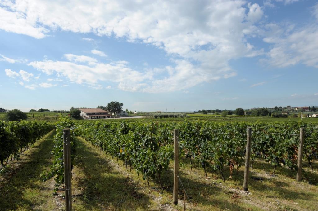 Tenuta La Ca Бардоліно Екстер'єр фото