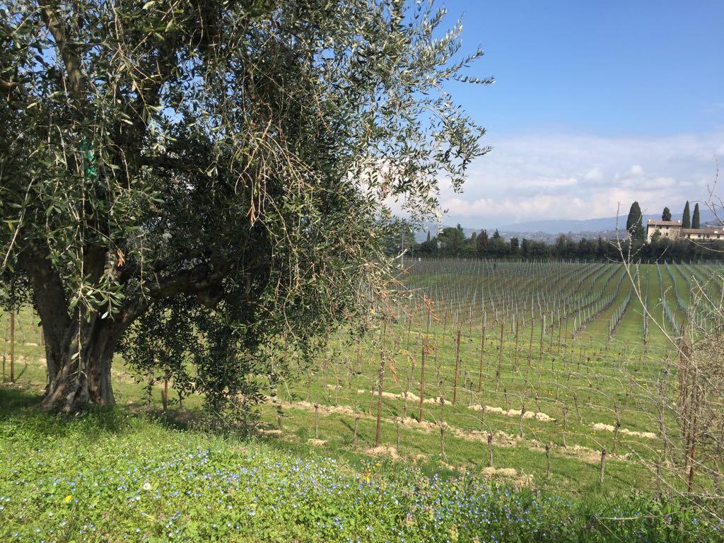Tenuta La Ca Бардоліно Екстер'єр фото